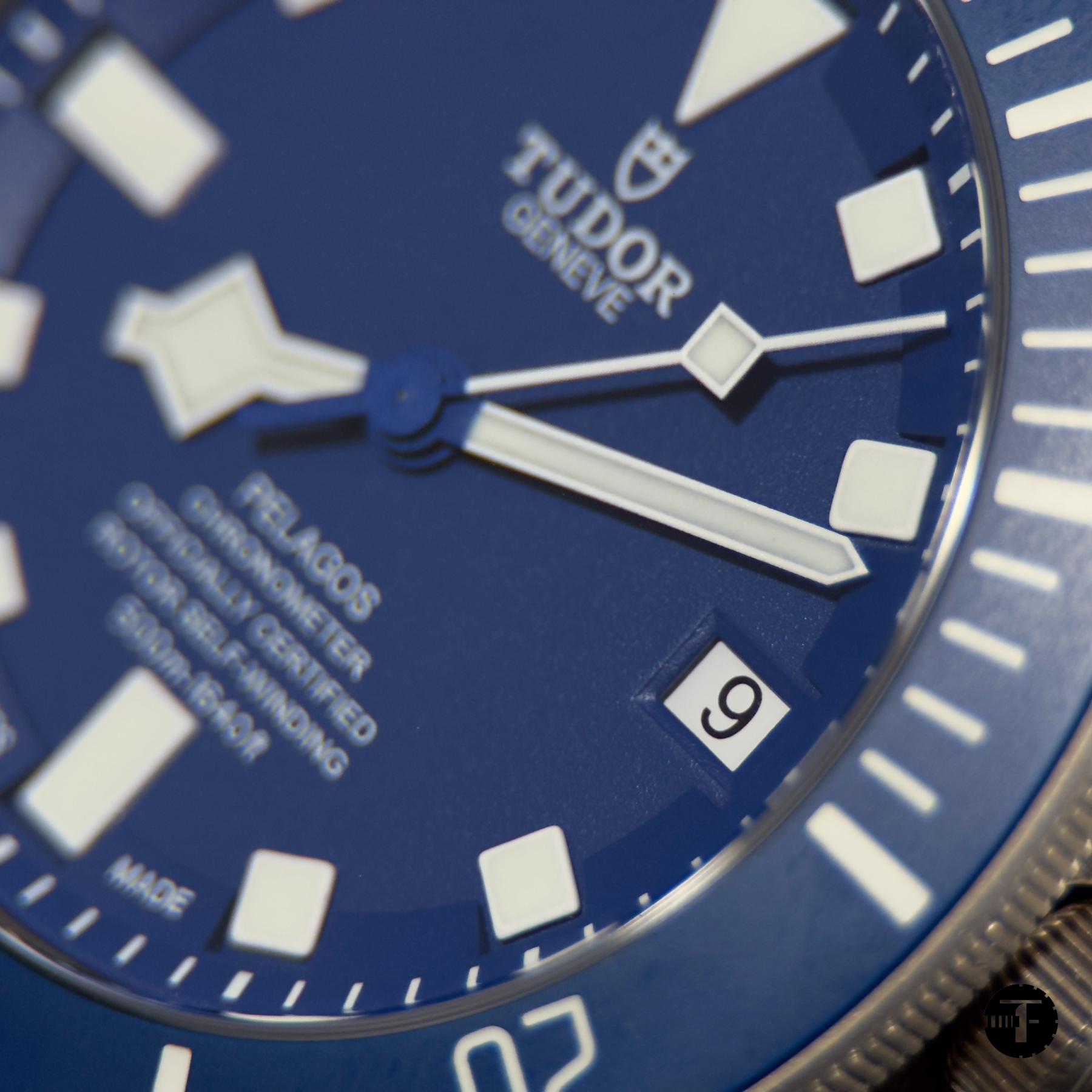 Tudor Pelagos